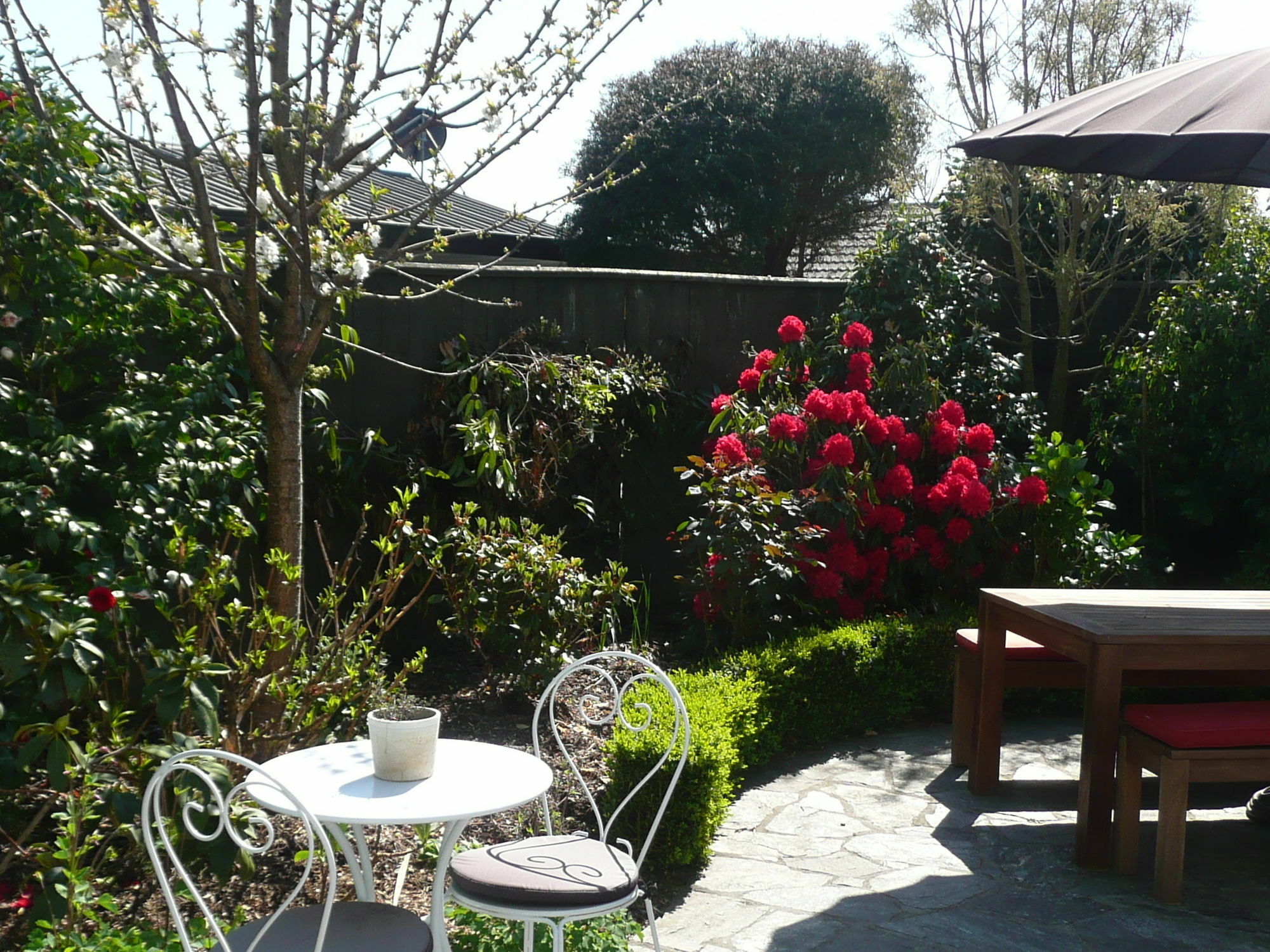 Kershaw House Bed and Breakfast Richmond Eksteriør billede