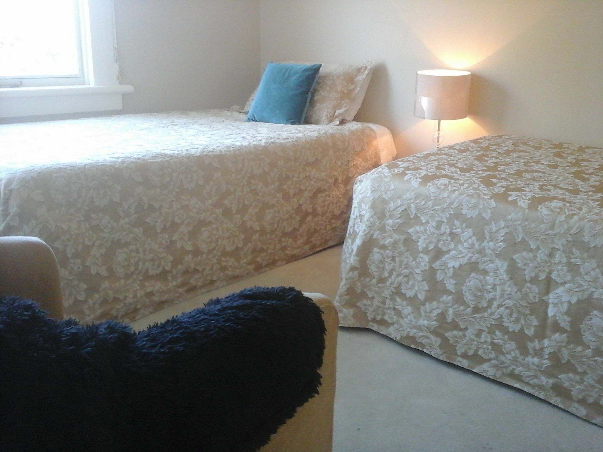 Kershaw House Bed and Breakfast Richmond Eksteriør billede